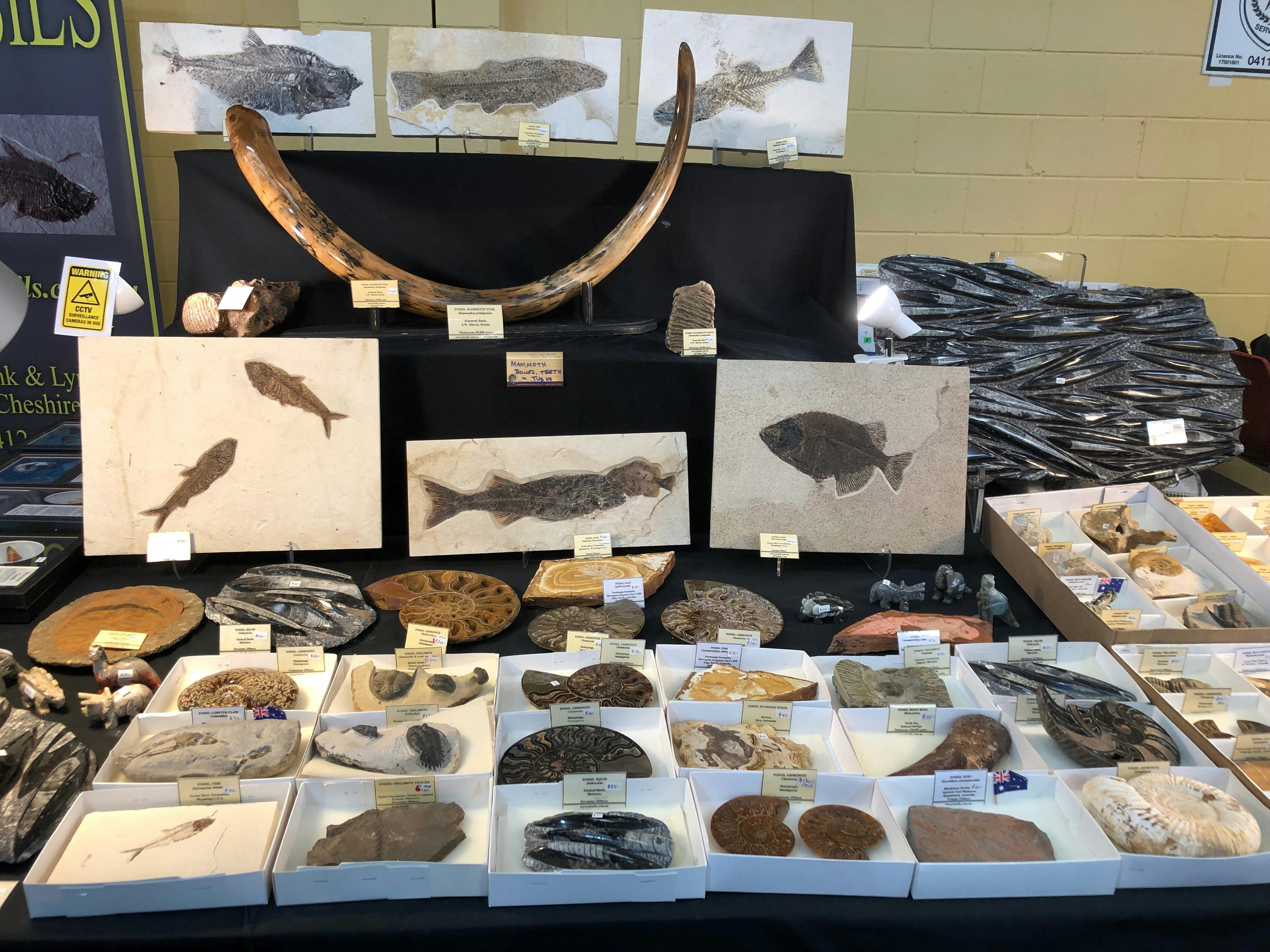 Canberra Winter Gemcraft & Mineral Show