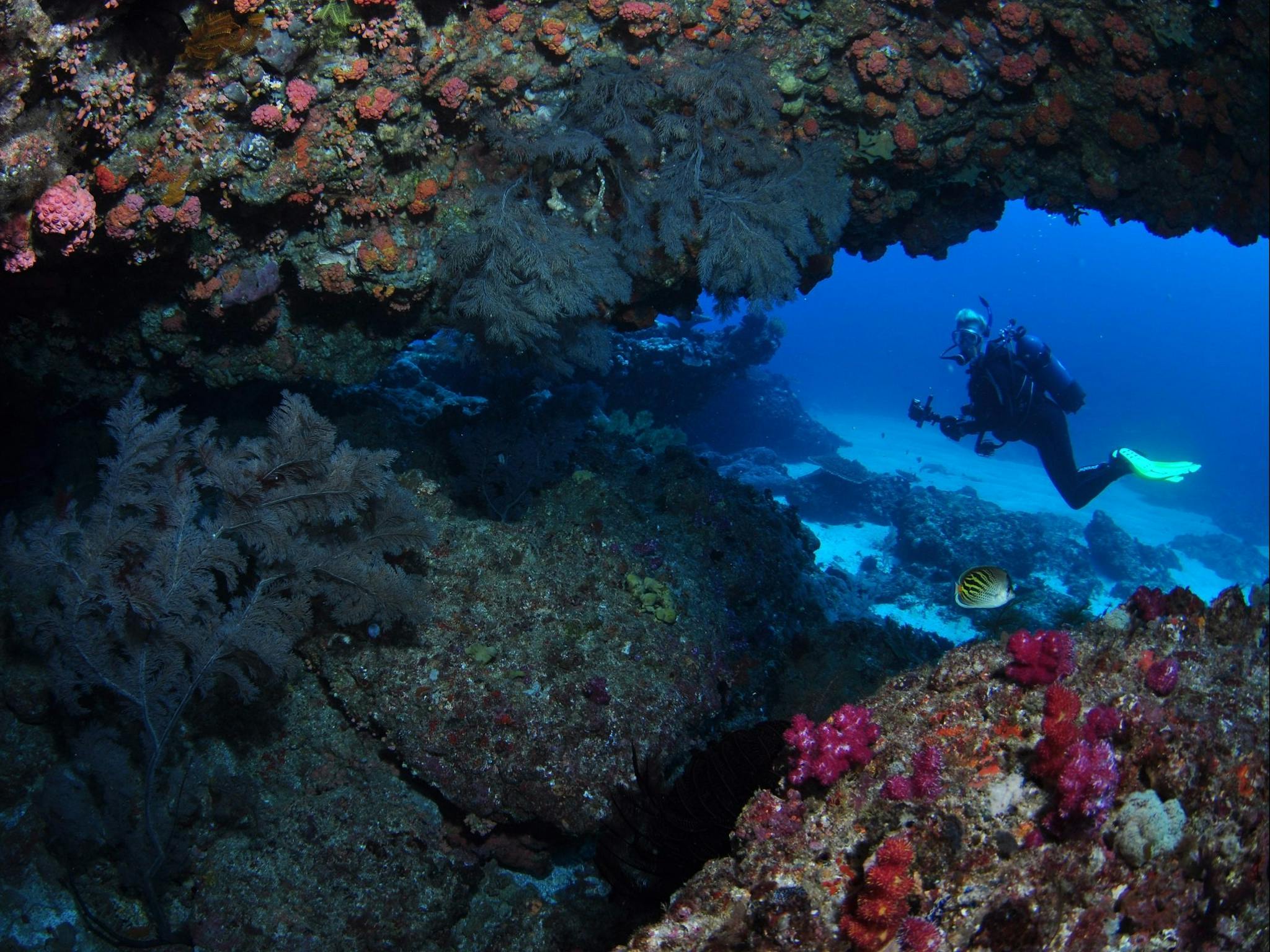Hutchinson Shoal Dive Site Hutchinson Shoal Dive Site