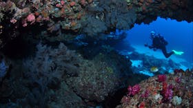 Hutchinson Shoal Dive Site