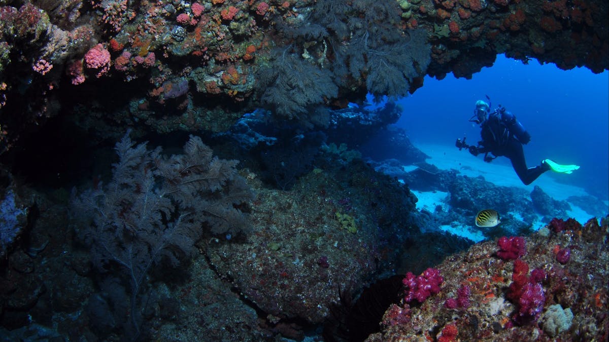 Hutchinson Shoal Dive Site
