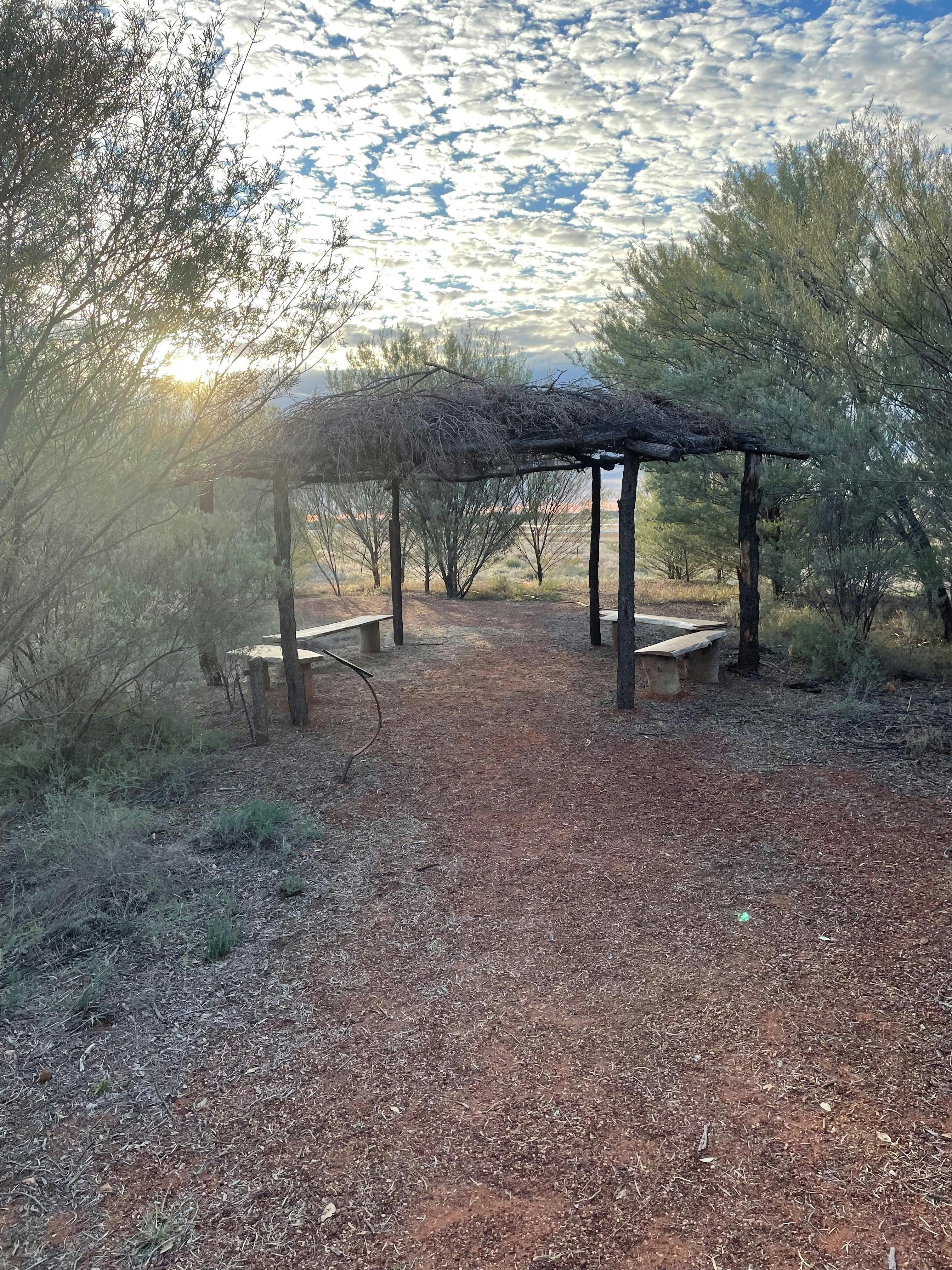Cunnamulla Bushland Walk