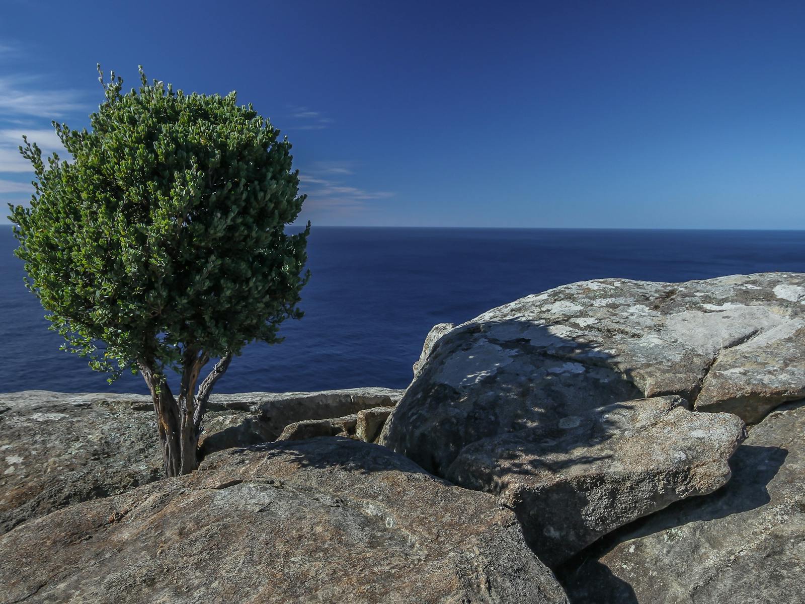 Tasman Coastal Trail