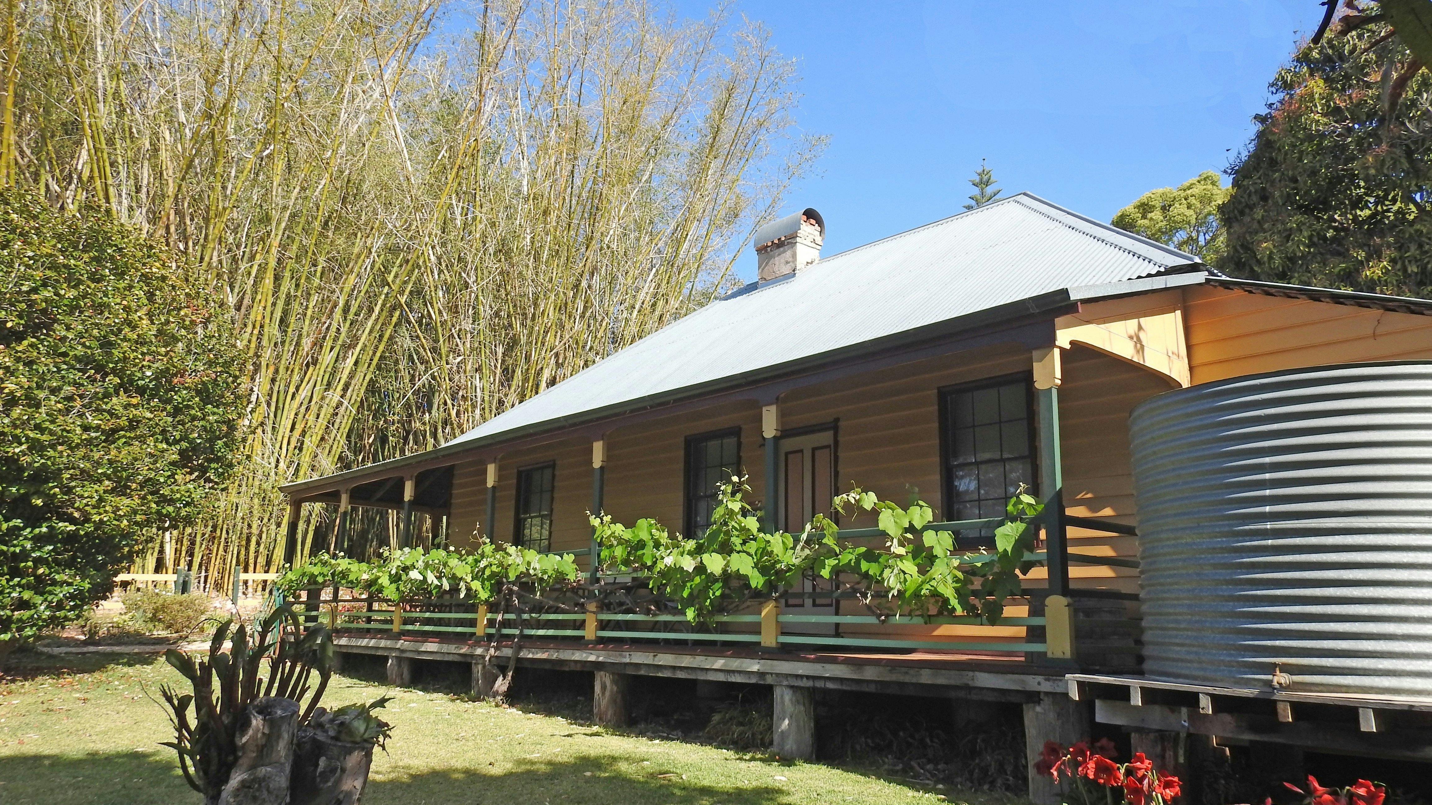 ホームステッド