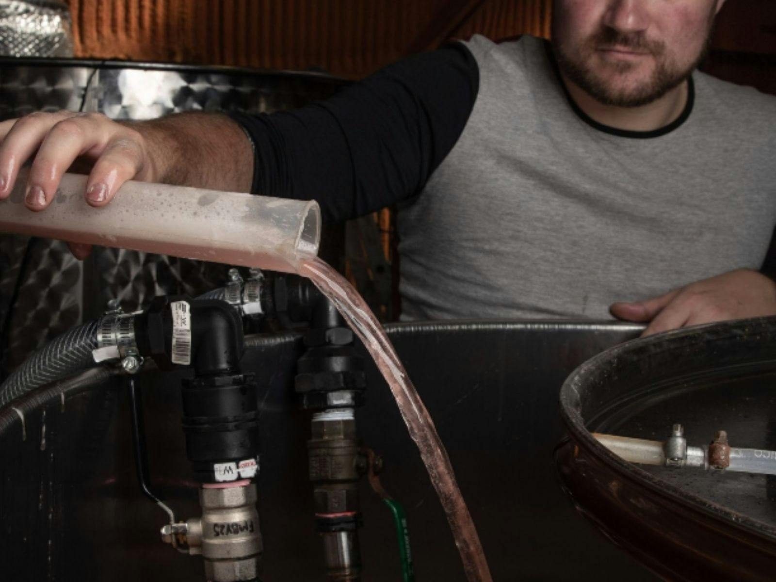 Sip, Stay, and Savor: Sunday Wine Tasting - Stomp Festival