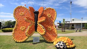 Griffith Spring Fest - Real Juice Company Citrus Sculptures