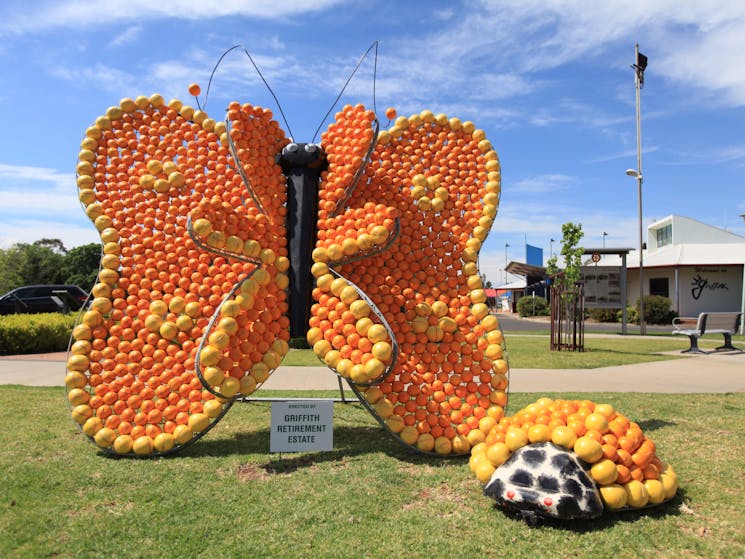 Orange bugs and beetles