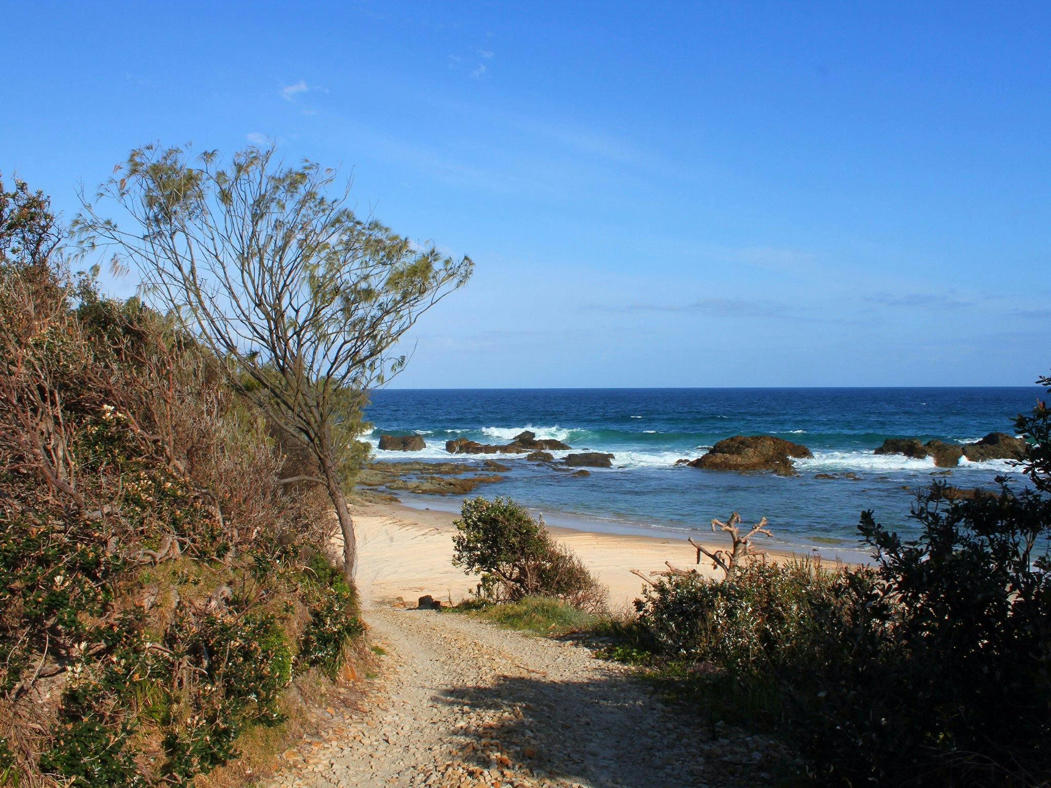 Clay Head beach track.