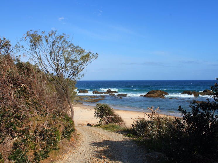 Clay Head beach track.