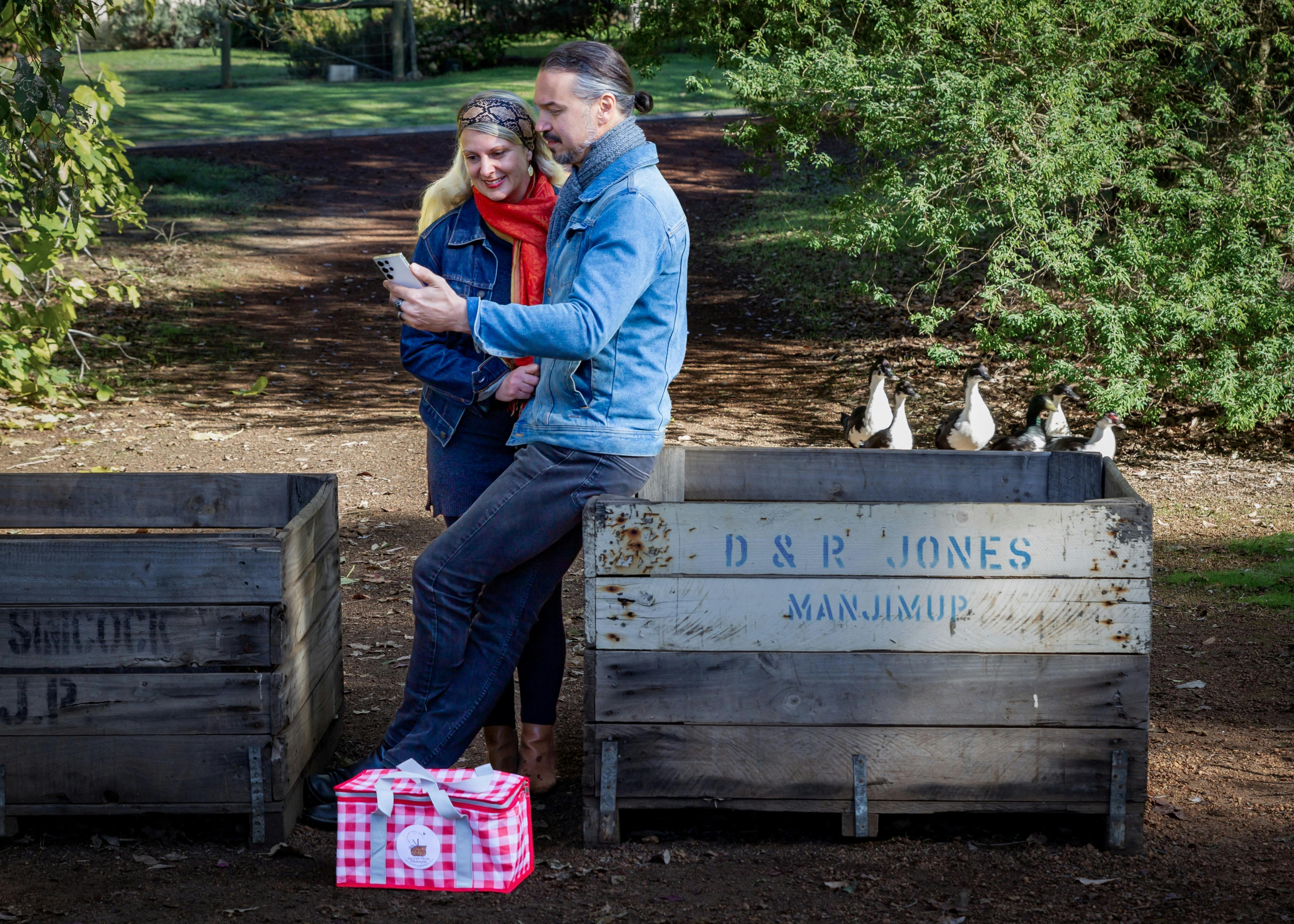 Picnic clues