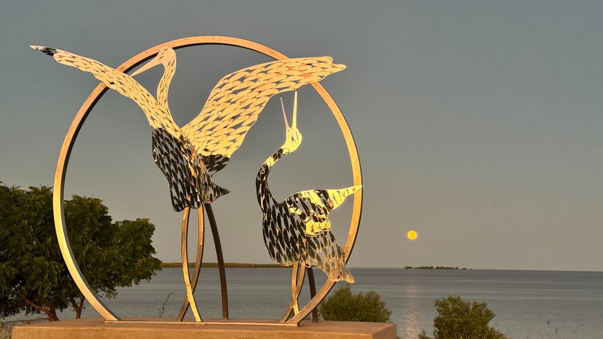 Stunning Brolga Art Work