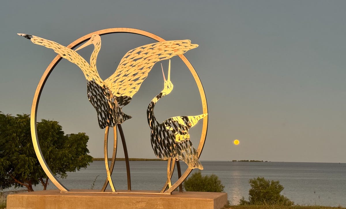 Stunning Brolga Art Work