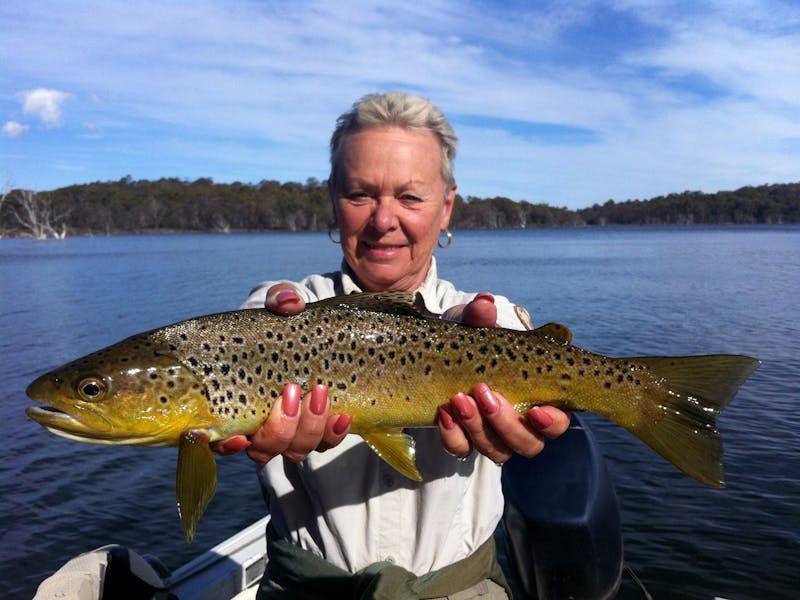 Wild Arthurs brown trout