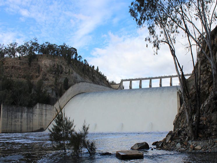 Lake Burrendong