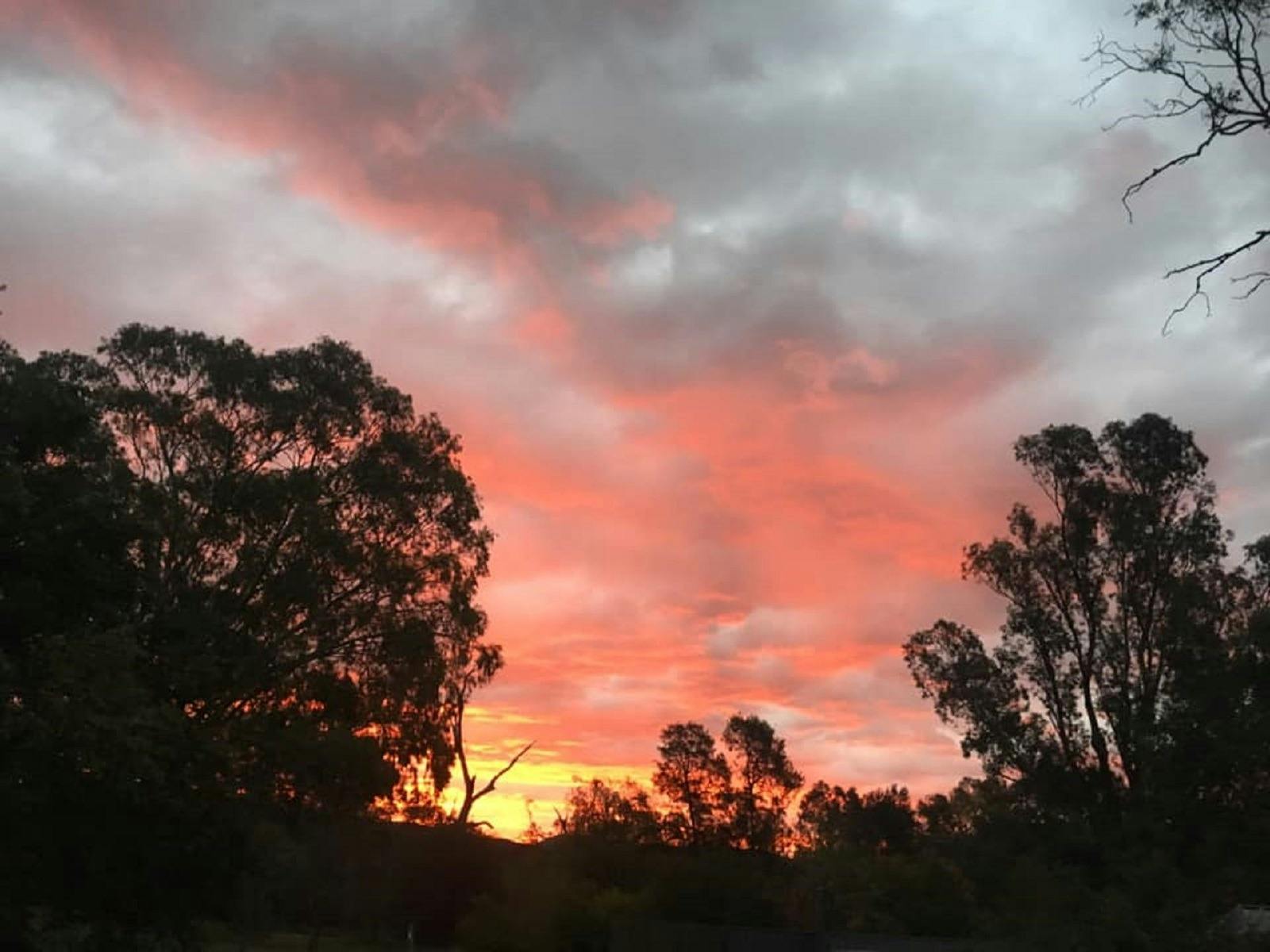 마닐라 리버검스 캐러밴파크 가을하늘