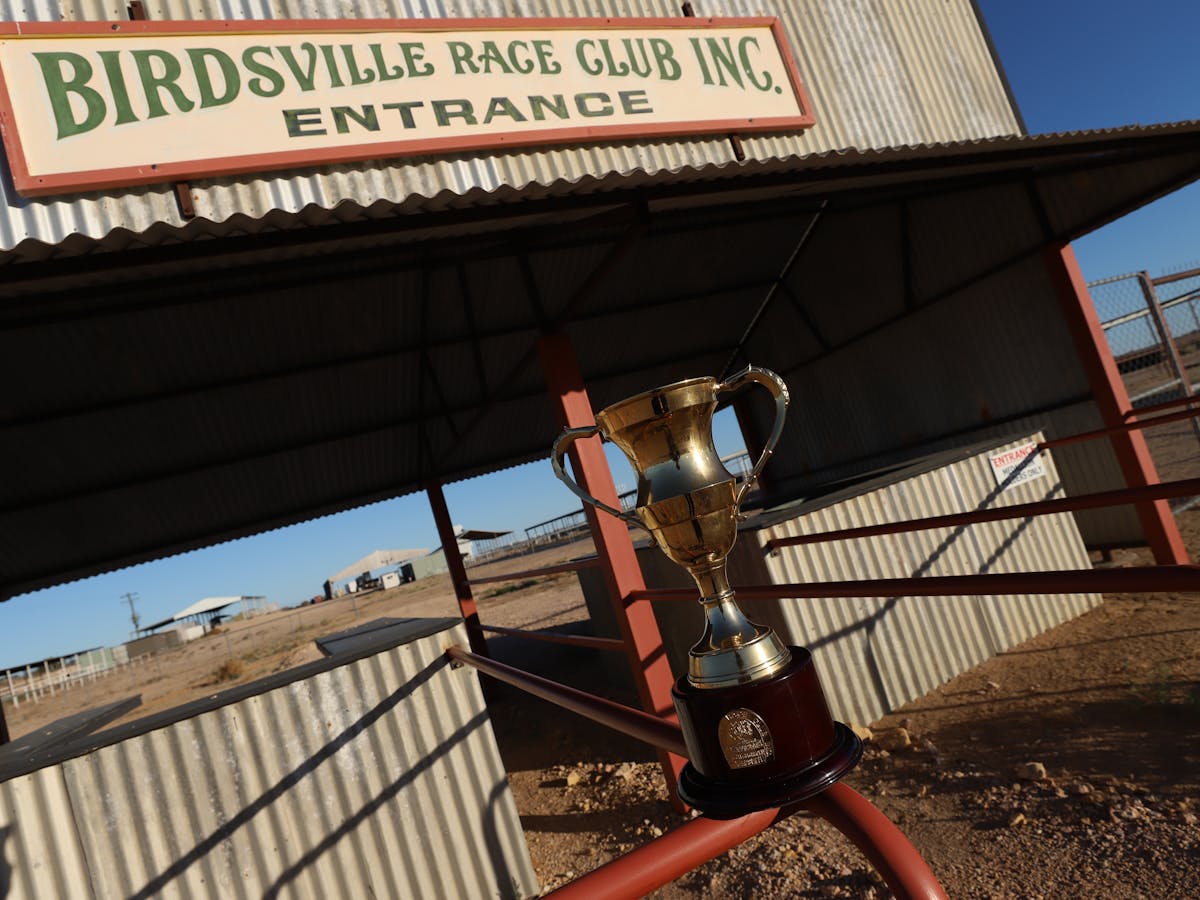Track Entry