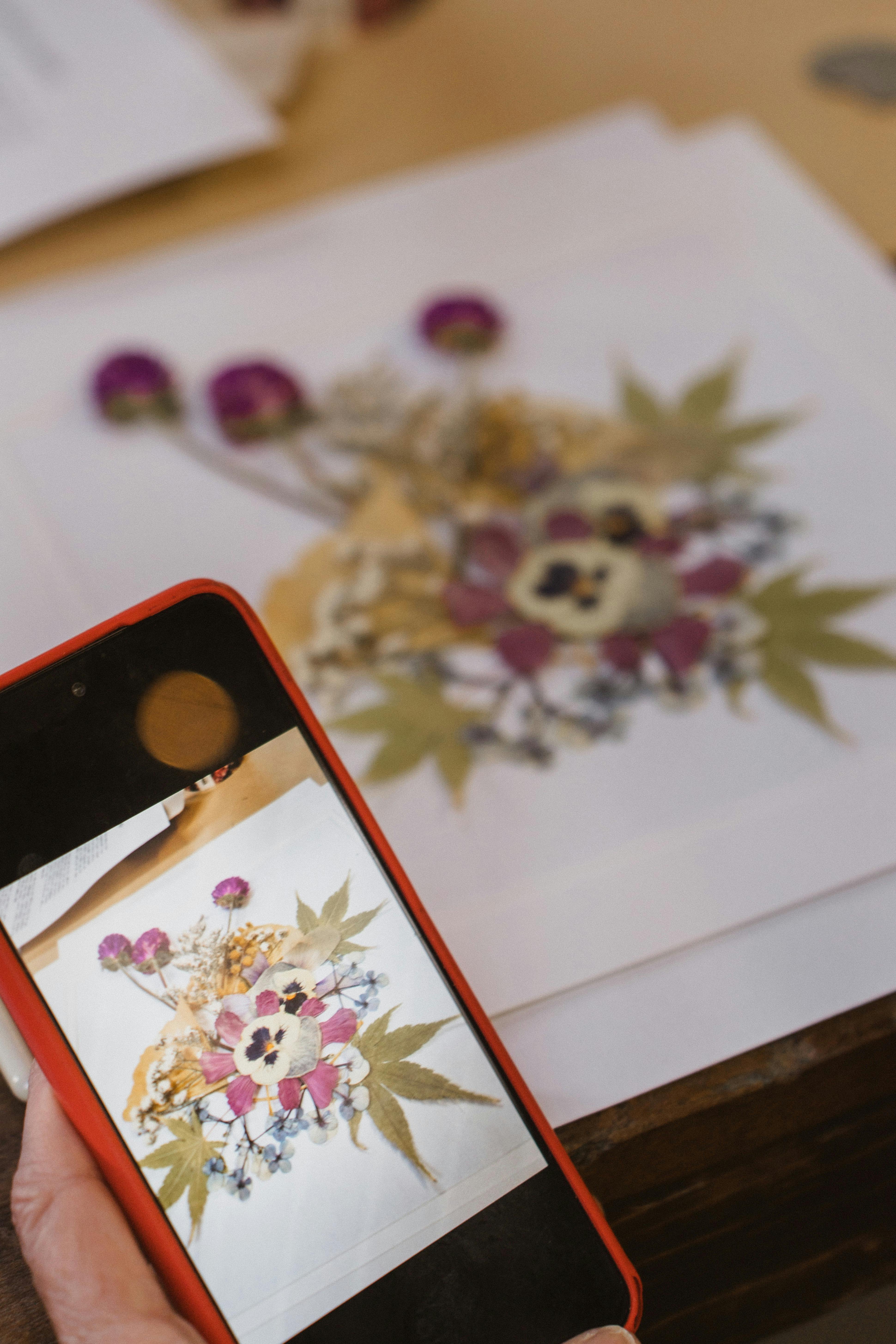 Experience Adelaide Gin.Flight.&Botanical.Art