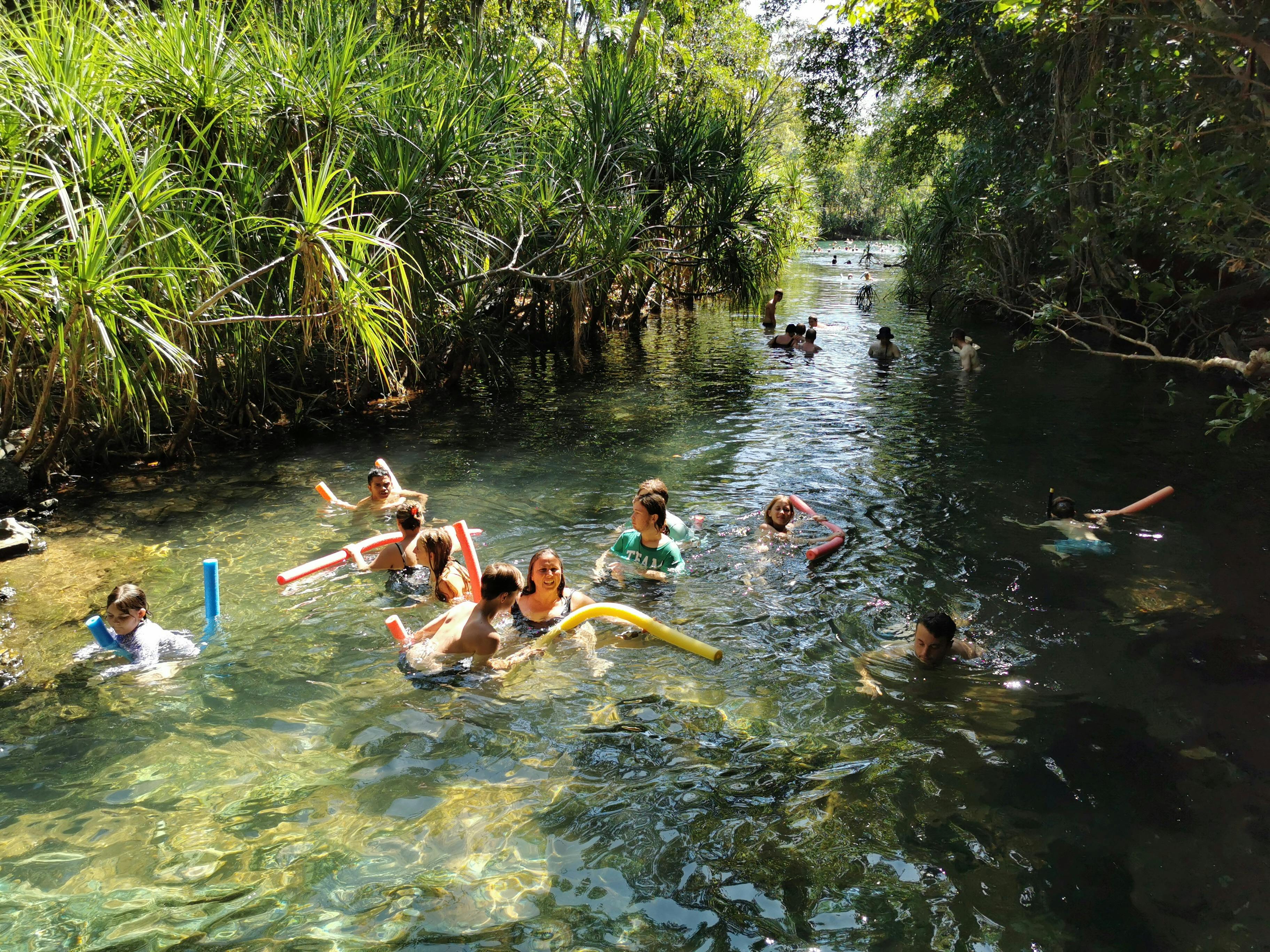 Berry Springs with fringed Pandanus