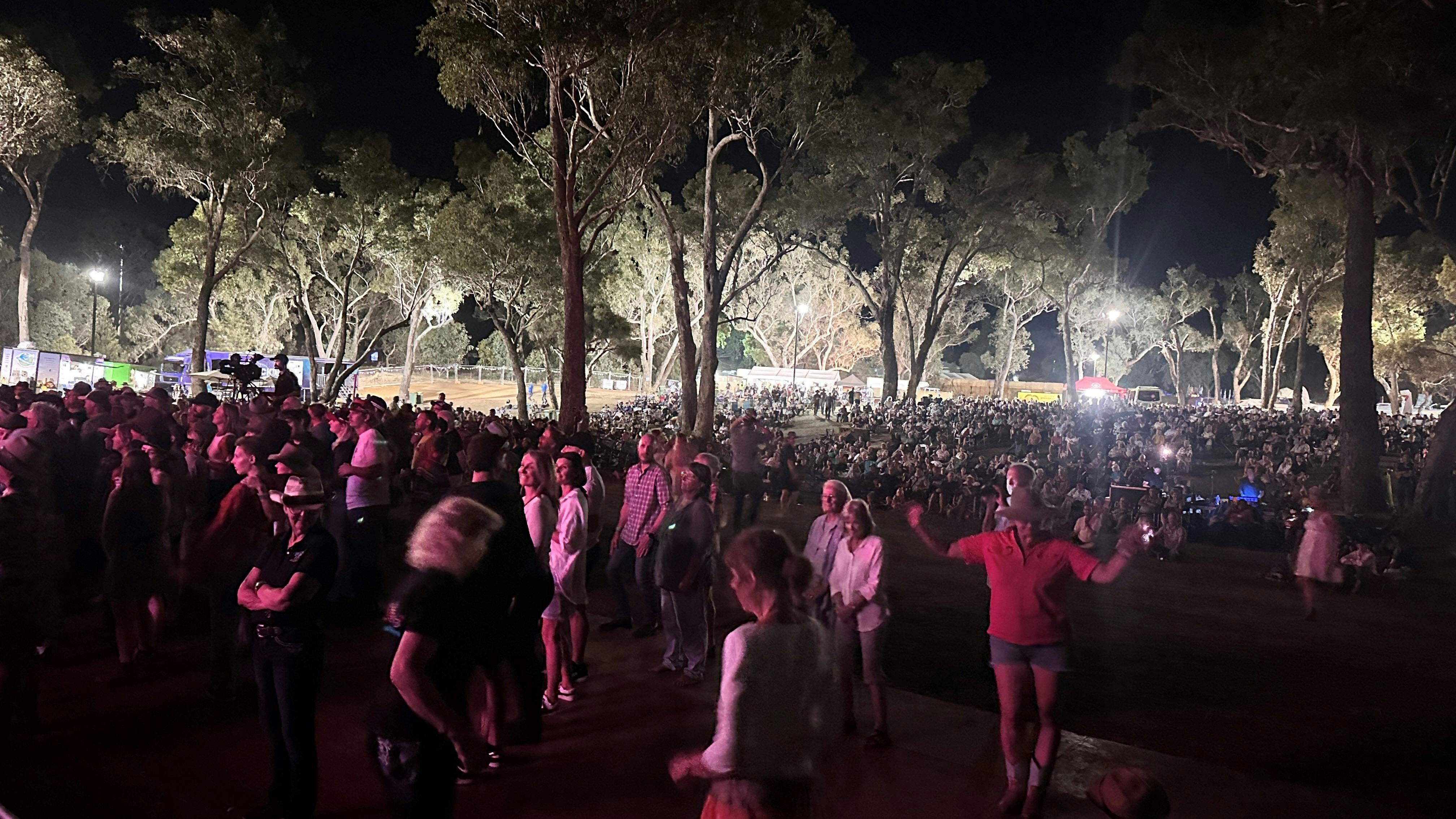 Crowd in the Park