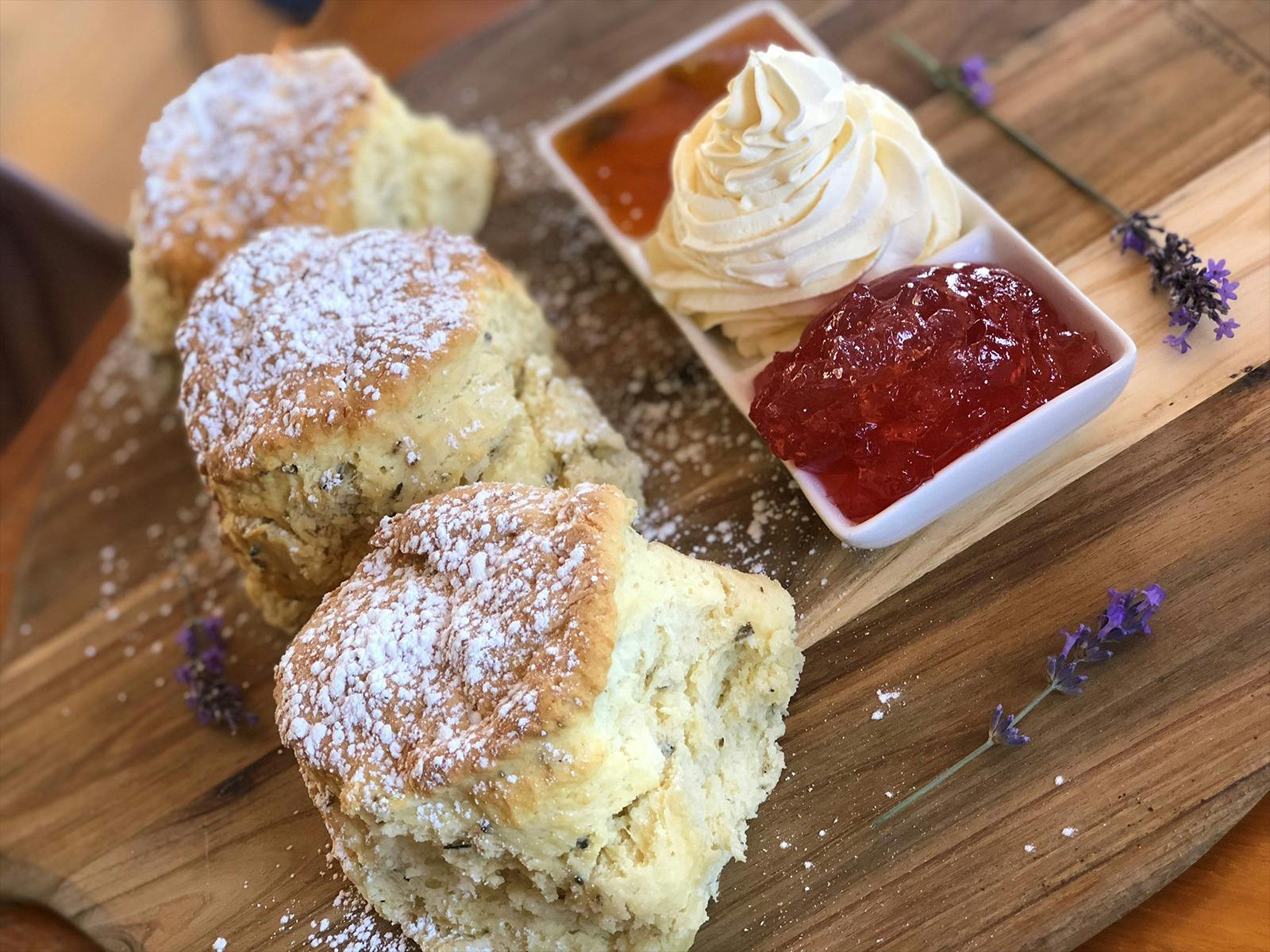 Lavender scones and jam and cream at Emu Bay Lavender Farm