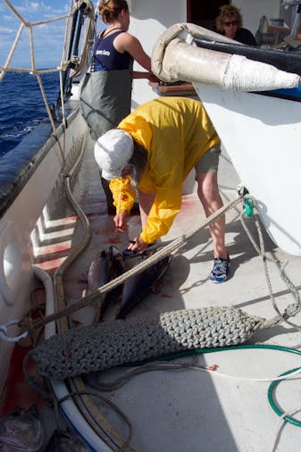Womens Tuna Poling Trip