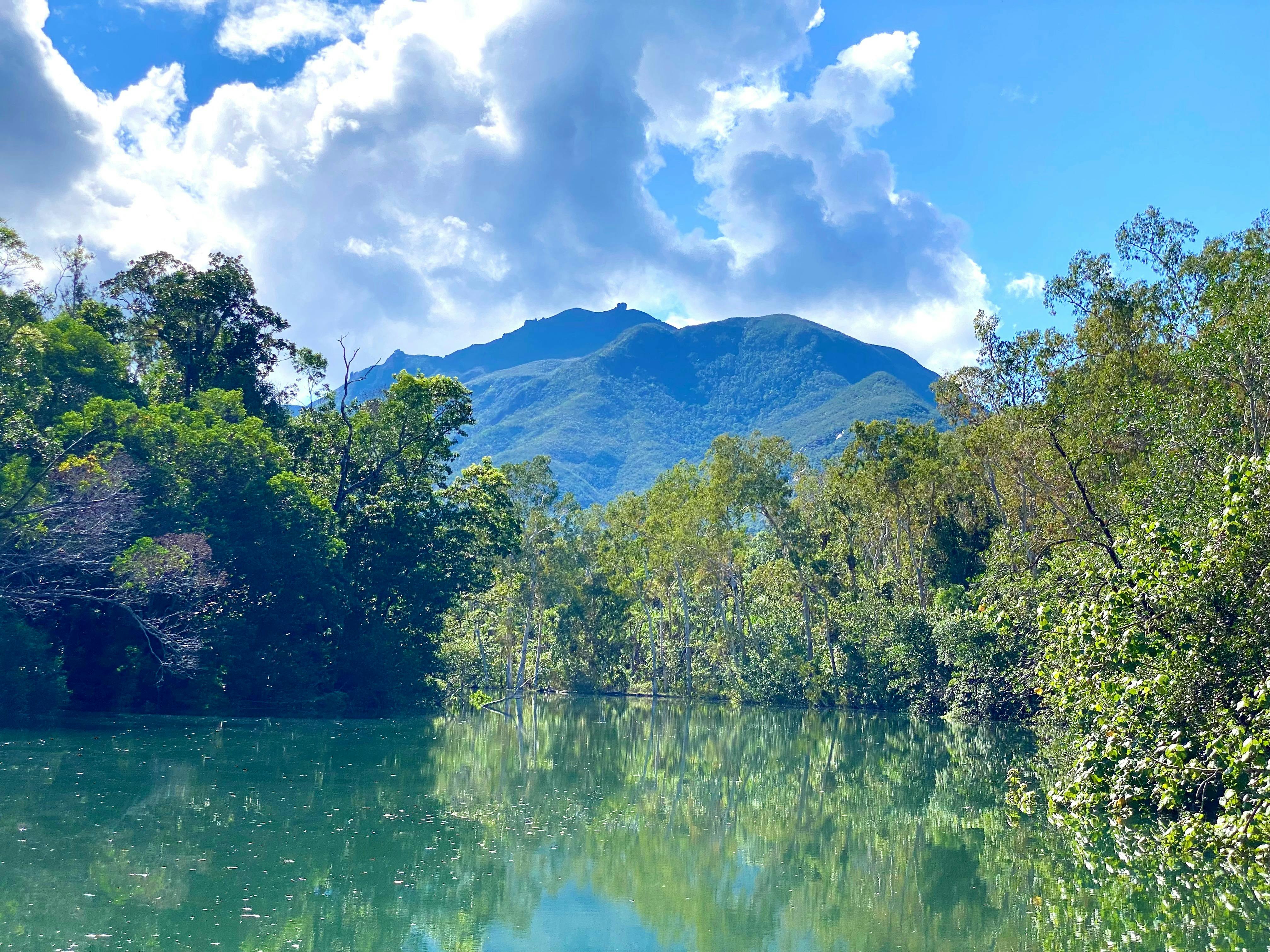 The veiws to the Hinchinbrook mountains are amazing
