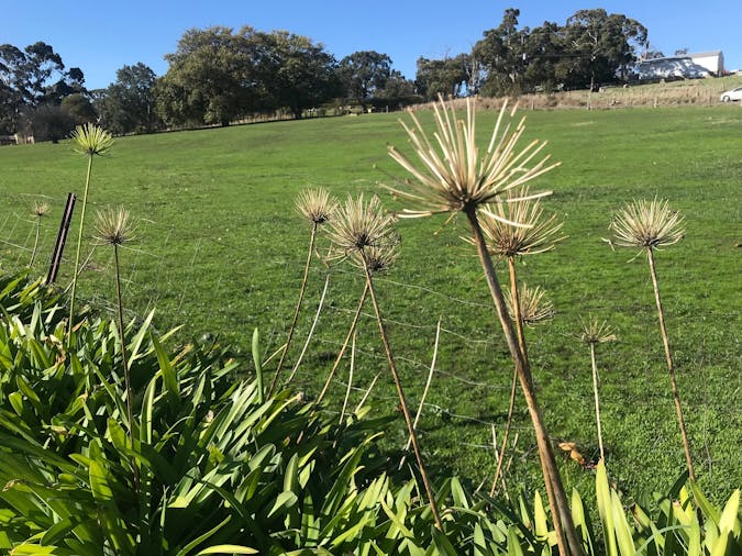 Adelaide Hills Escape