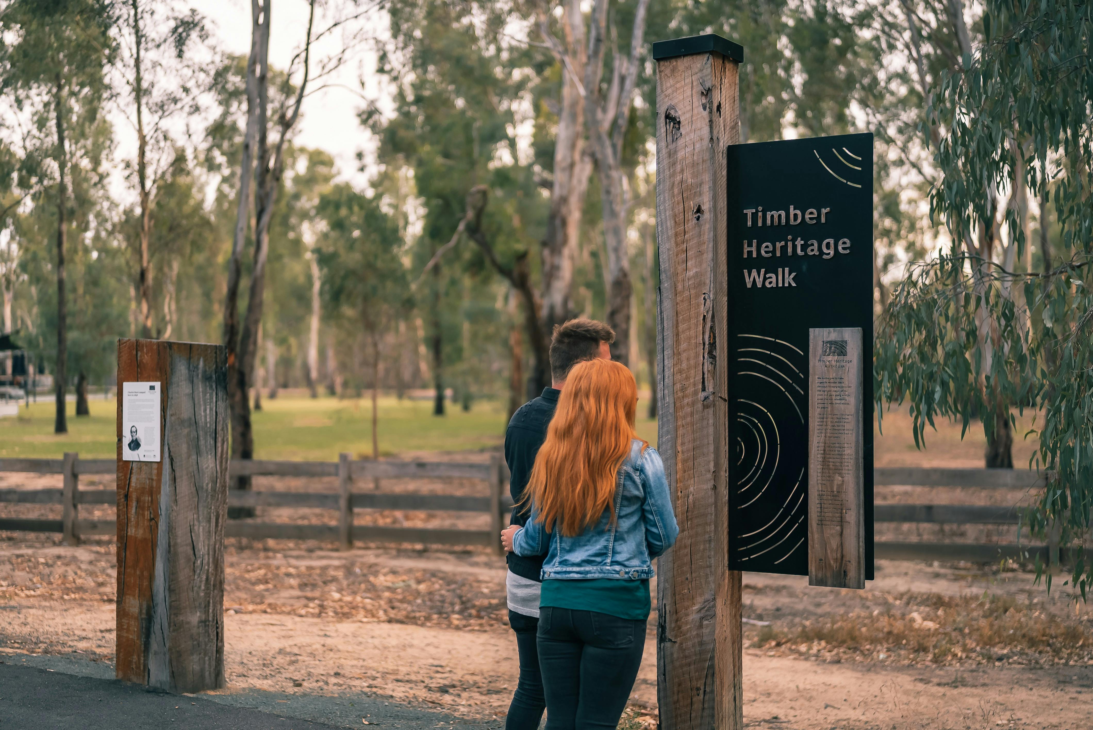 ティンバーヘリテージウォークに関する情報を読んでいるカップル