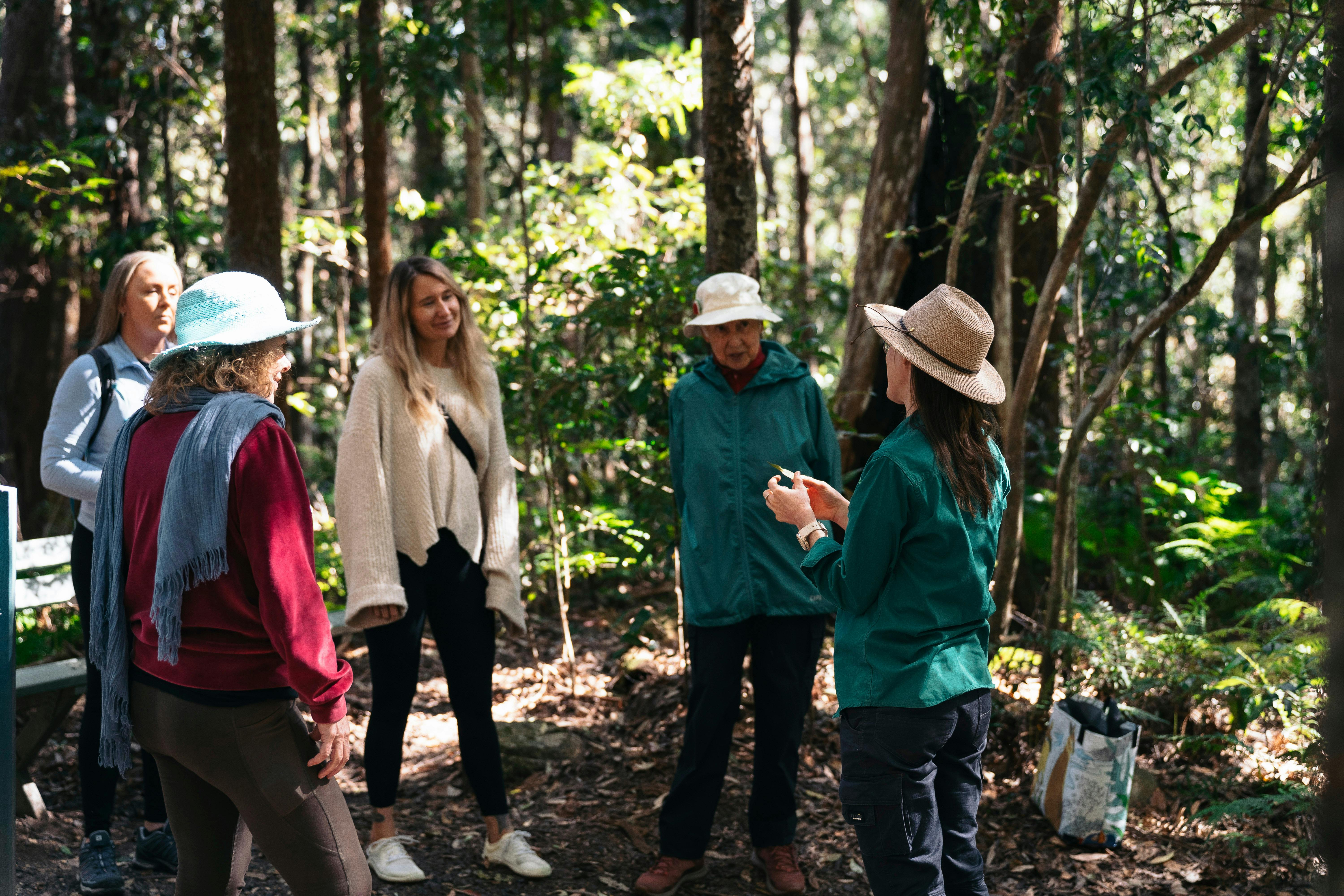 Forest bathing circle