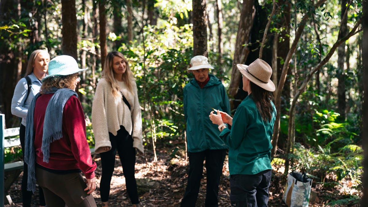Forest bathing guide with circle of women in the forest