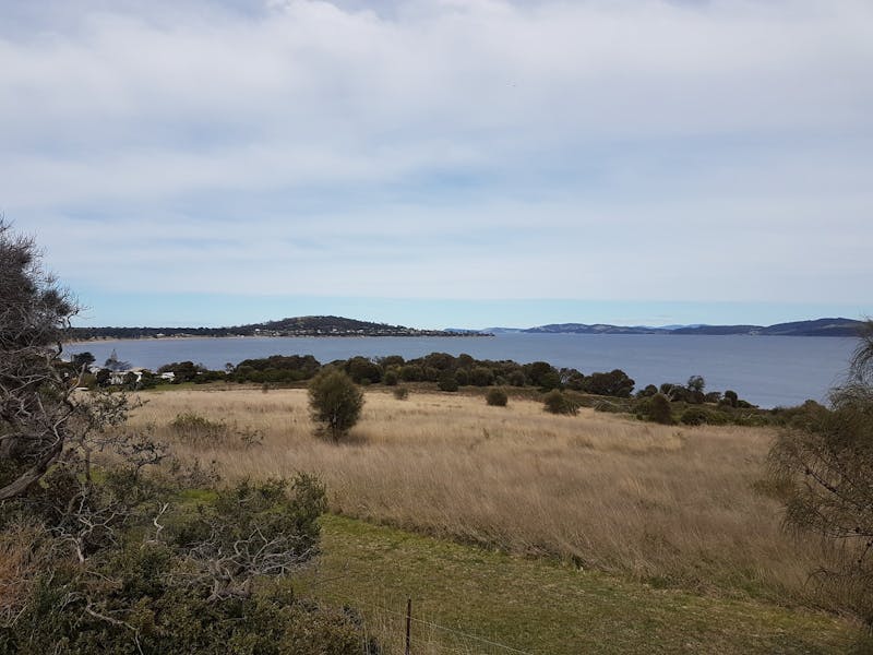 South Arm Peninsula Trail 2