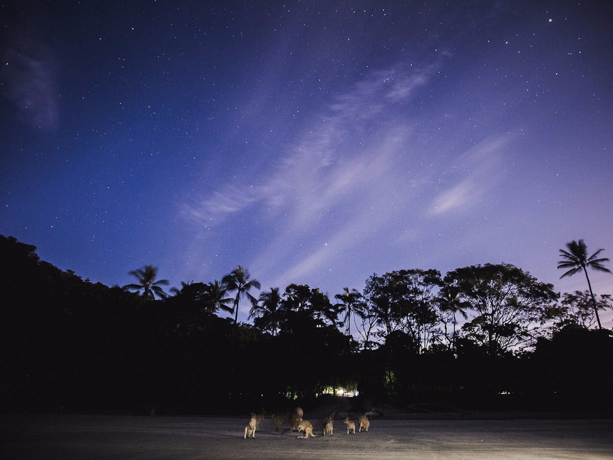 Cape Hillsborough Cape Hillsborough