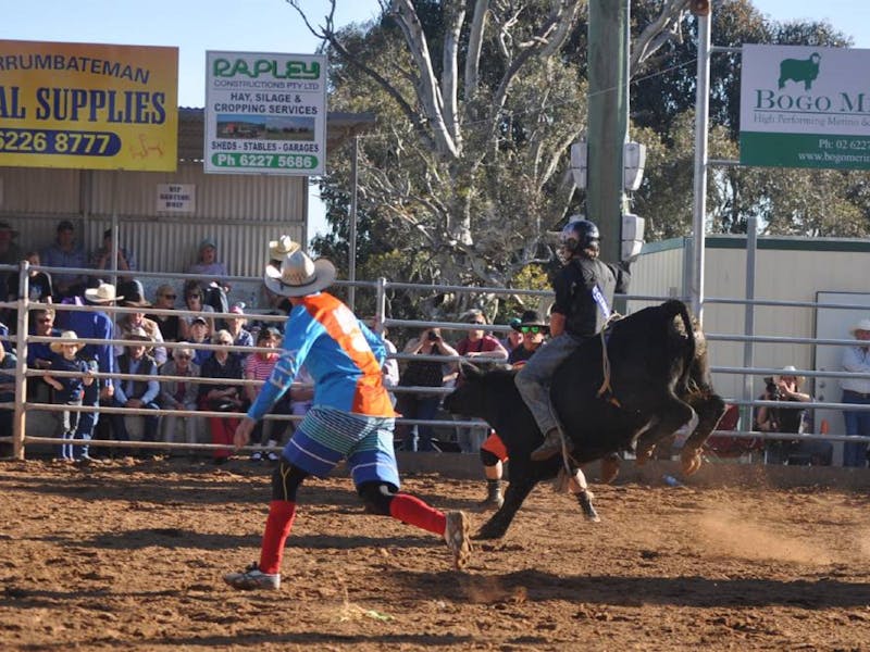 yass show and pbr bull ride nsw holidays accommodation things
