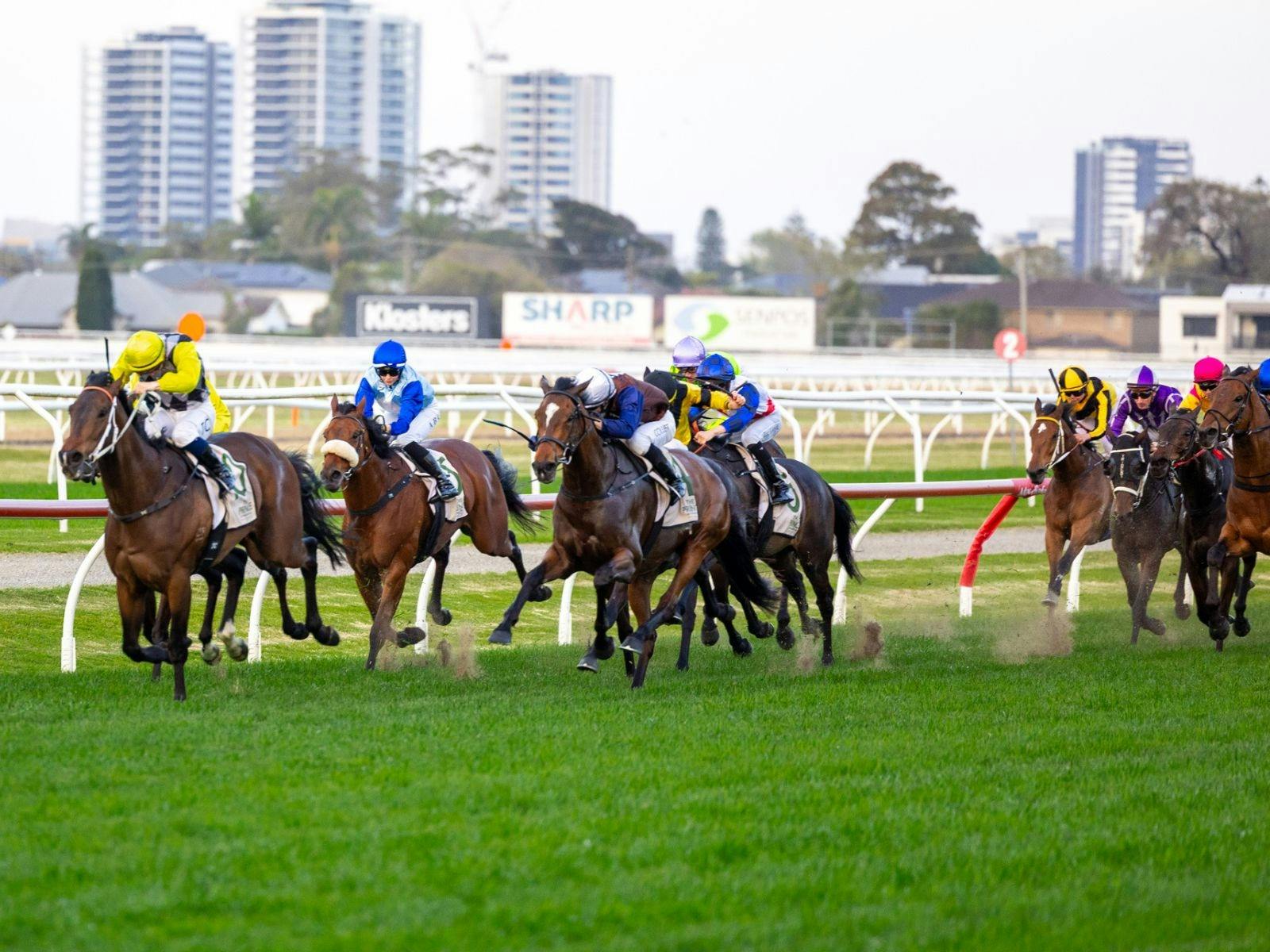 Ryan Ansell Investment Solutions Race Day