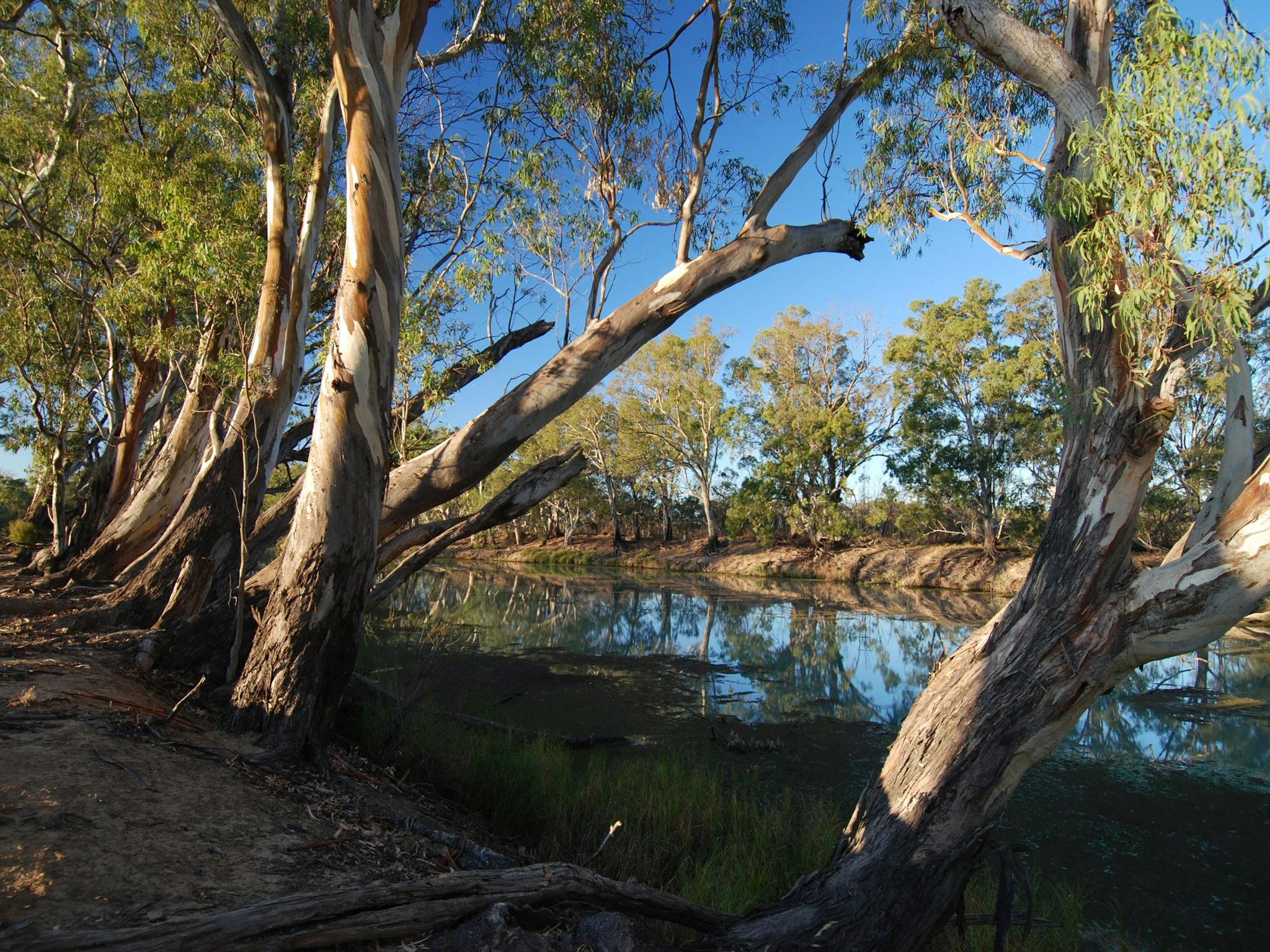 murray river