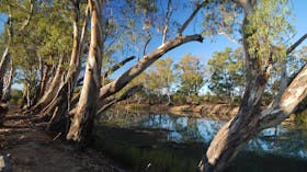 murray river