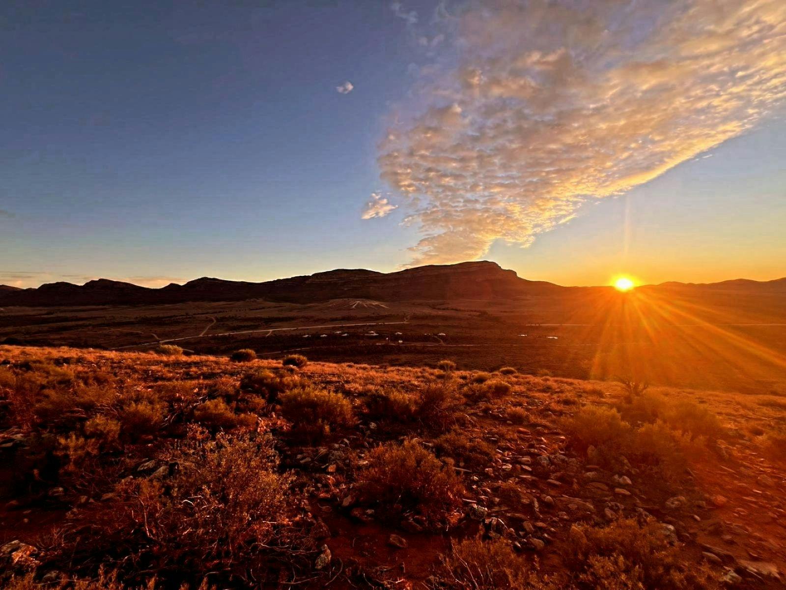 Flinders Ranges and Clare Valley Bike Tour