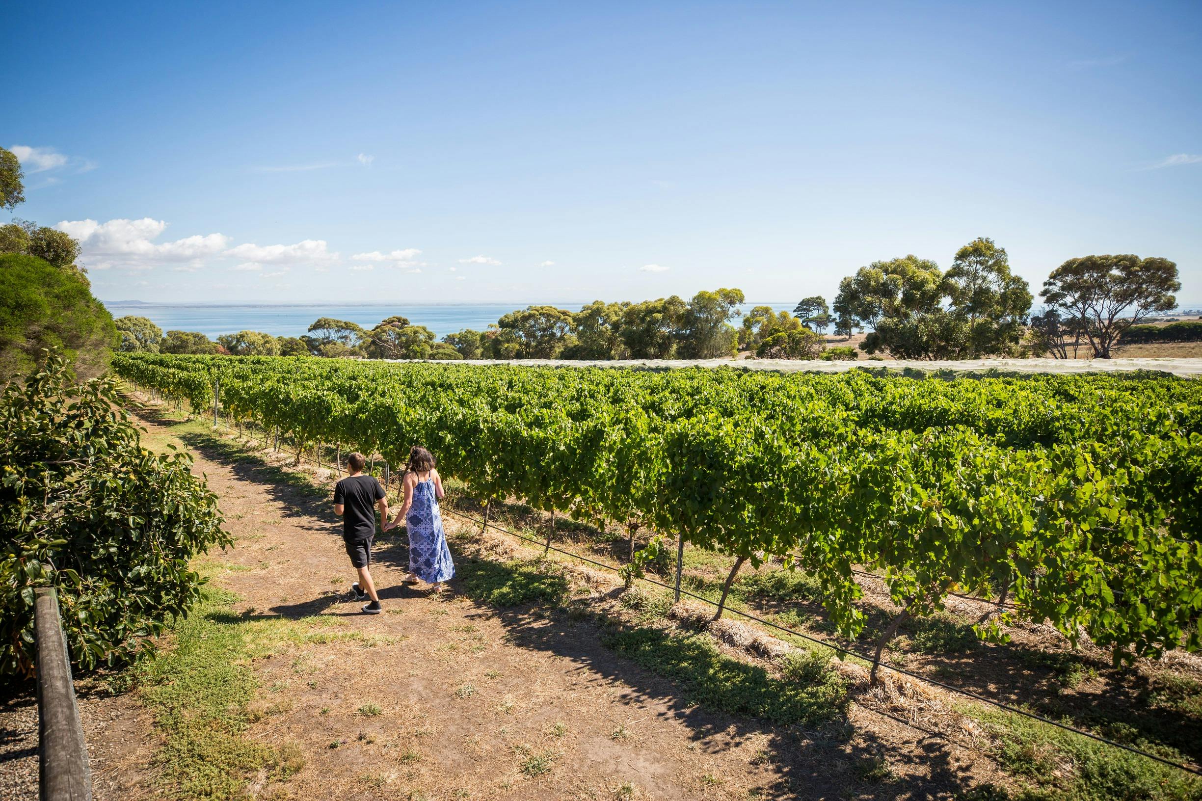 Hop On Hop Off Bellarine Peninsula - In Region pick up and return