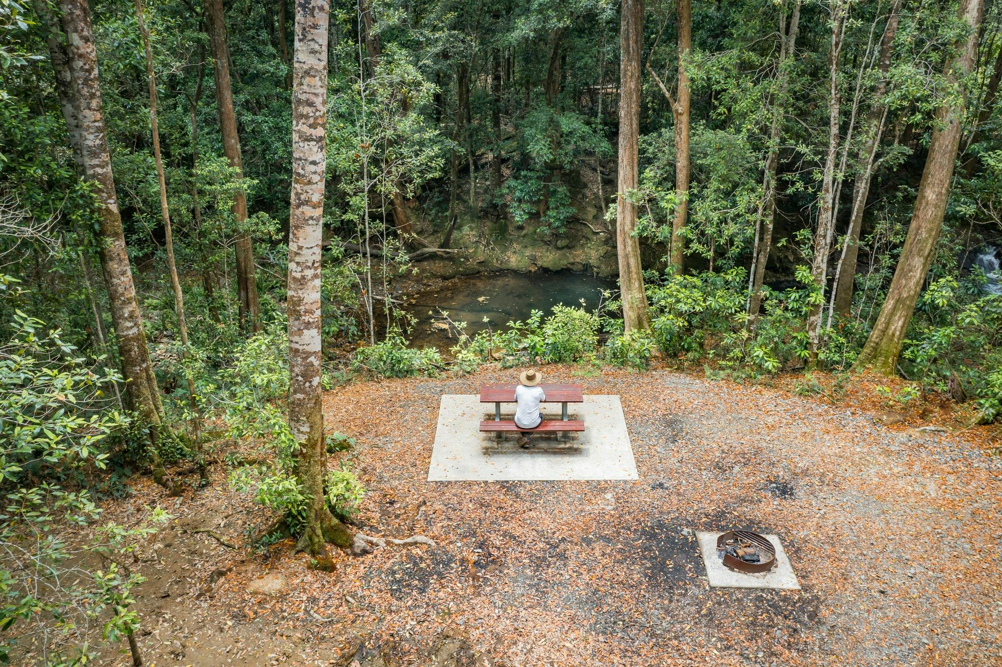 野餐區，野生牛溪州立森林