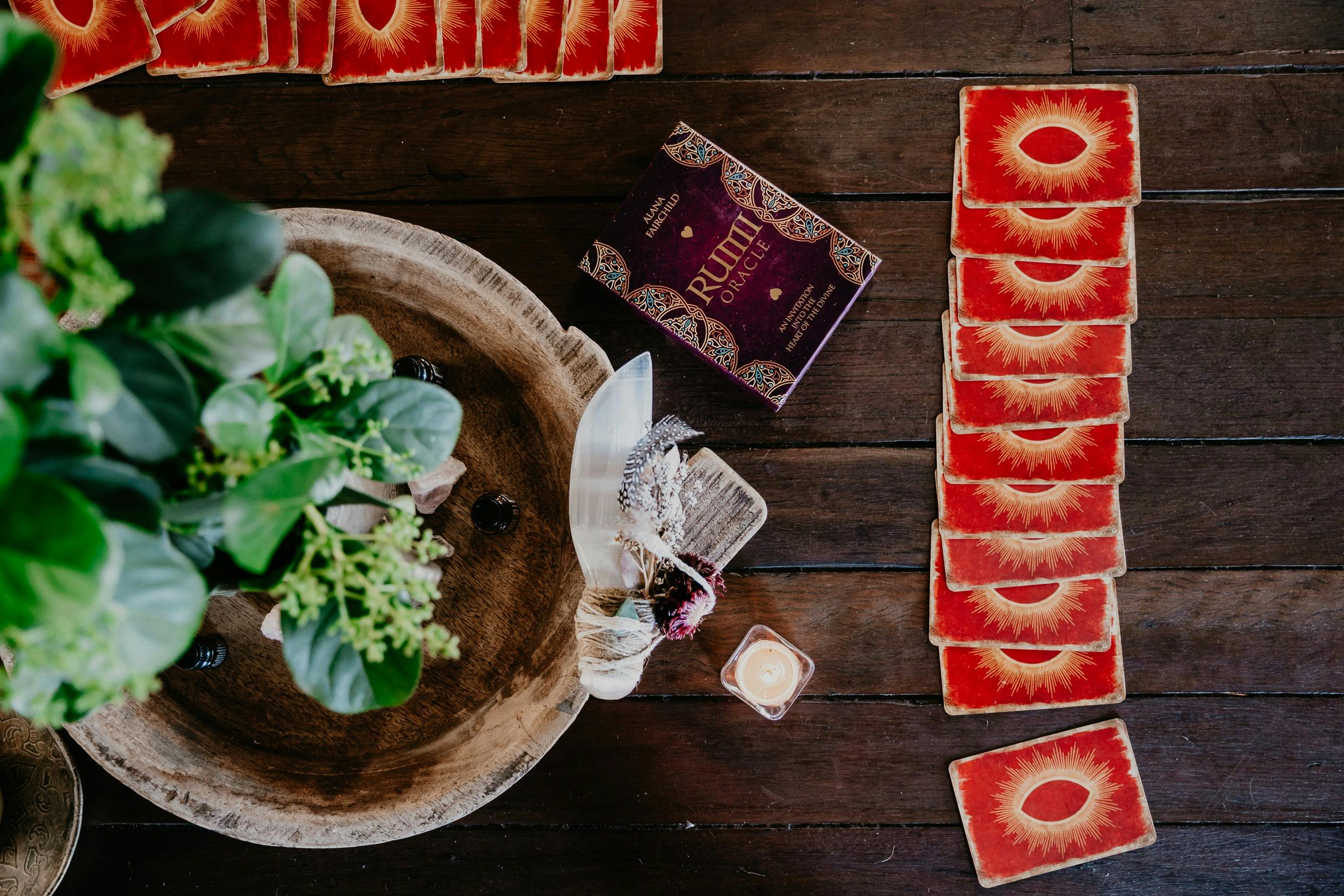 Overhead view of a green plant beside a spread of red oracle cards, offered as a reflective practice