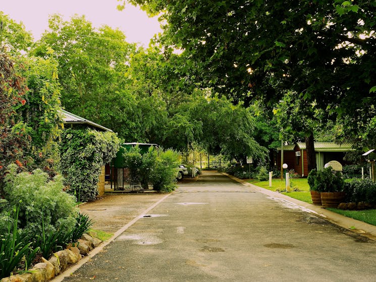 Mudgee Riverside Caravan Park - Entry