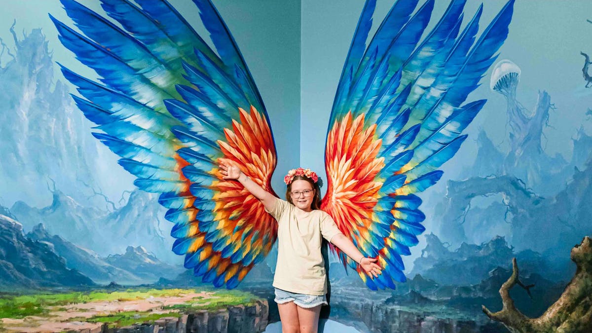 ArtVo Robina Town Centre Ground Floor 3D Gallery Butterfly