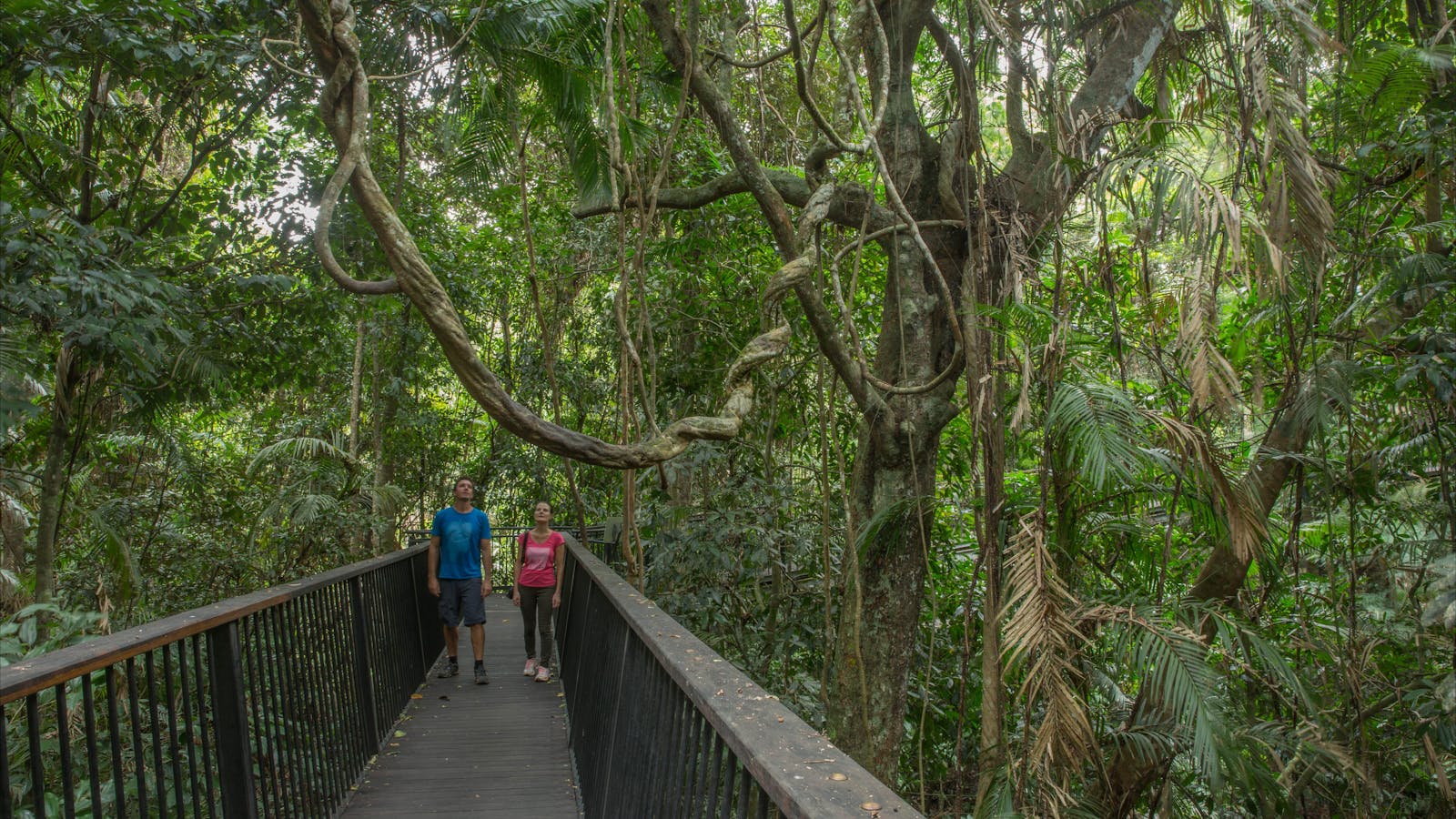 Barron Gorge National Park