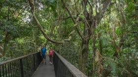 Barron Gorge National Park