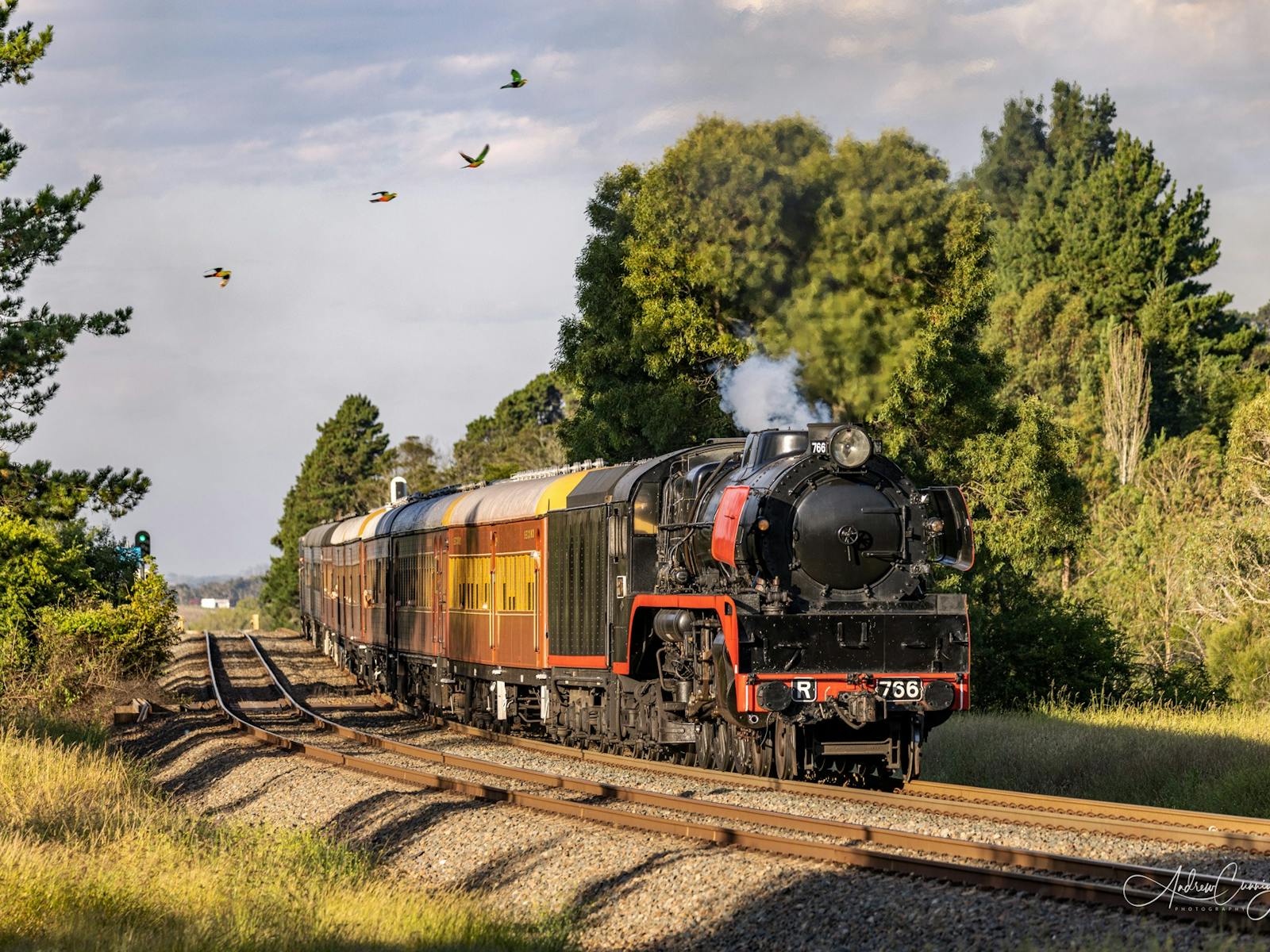 THE PICNIC TRAIN