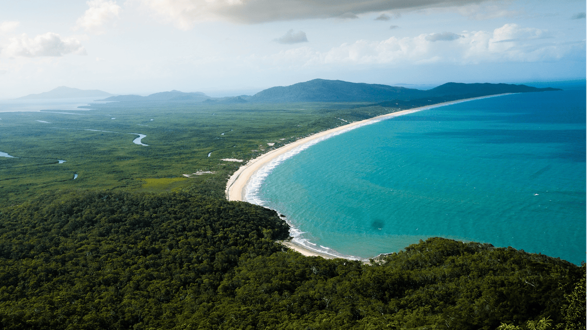 A crescent shaped beach stretches into the distance with green rainforest and mangroves behind