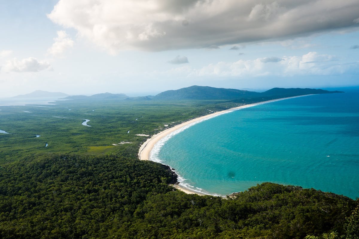 A crescent shaped beach stretches into the distance with green rainforest and mangroves behind