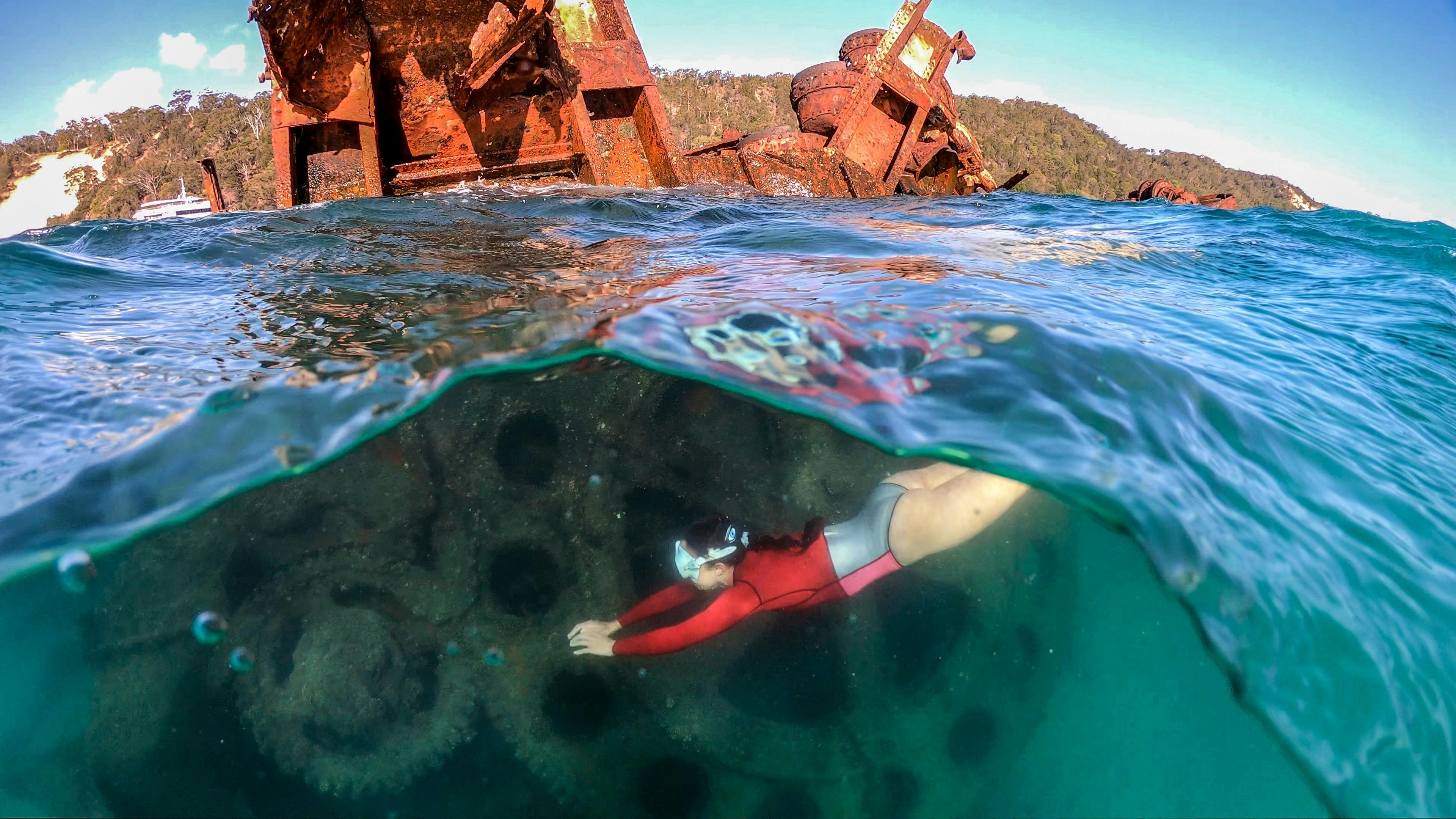 Tangalooma Island Resort Snorkel The Wrecks Day Cruise