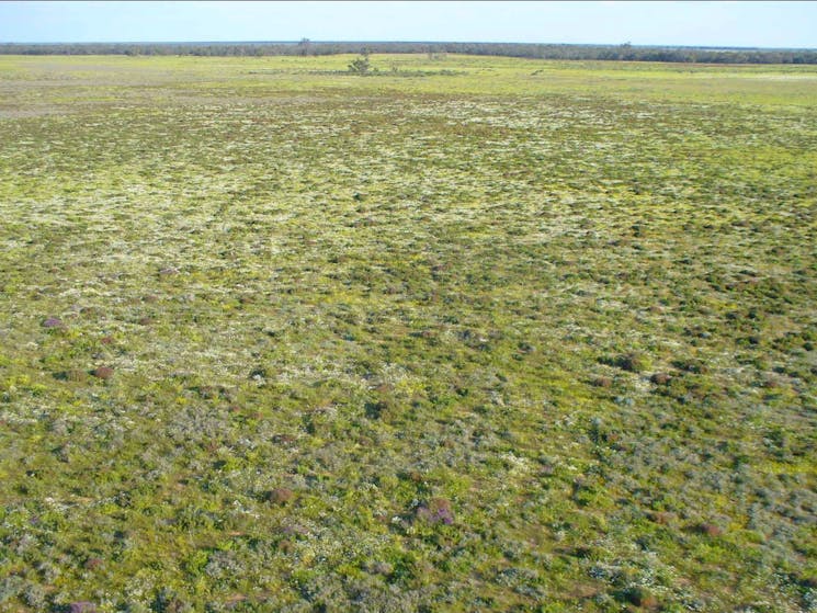 Nilla Billana Yinnagalang Walking Track, Willandra National Park. Photo: David Egan