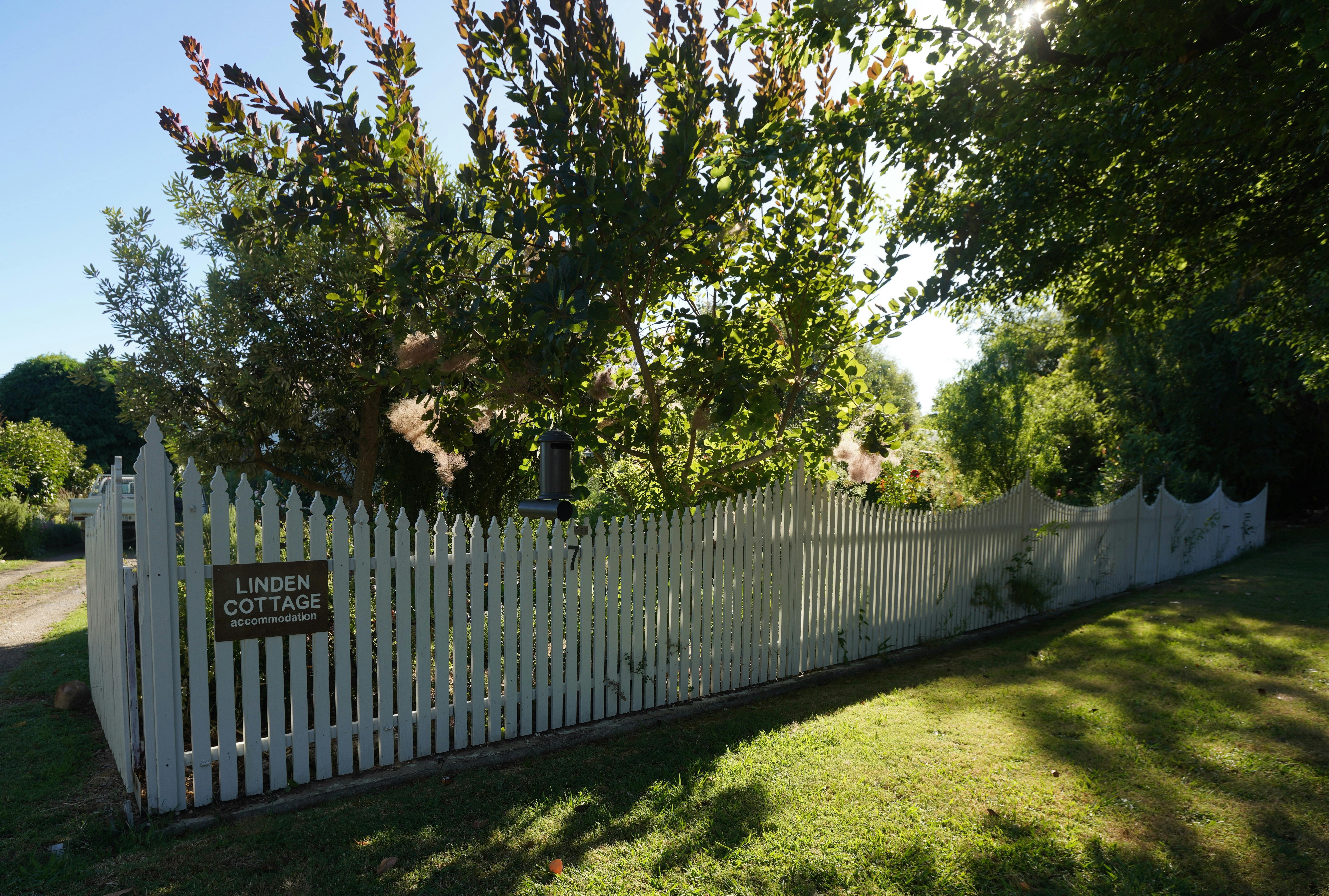 Front fence with background of beautiful smoke bush