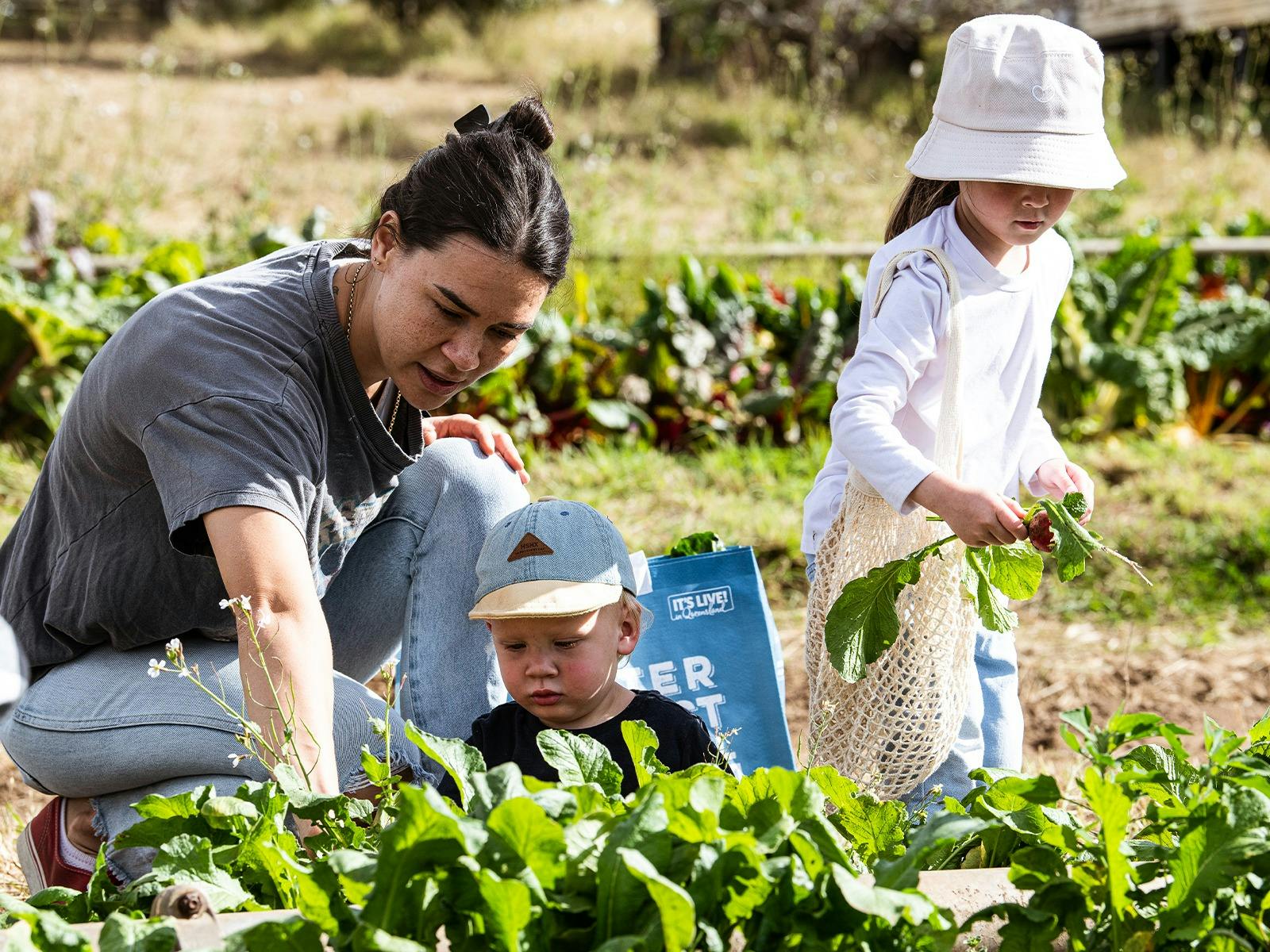 Veggie Picking with the Farmer